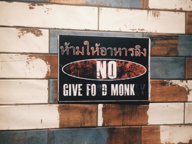 Processed with VSCO with hb2 preset