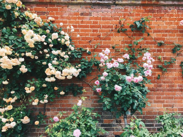 Processed with VSCO with hb2 preset