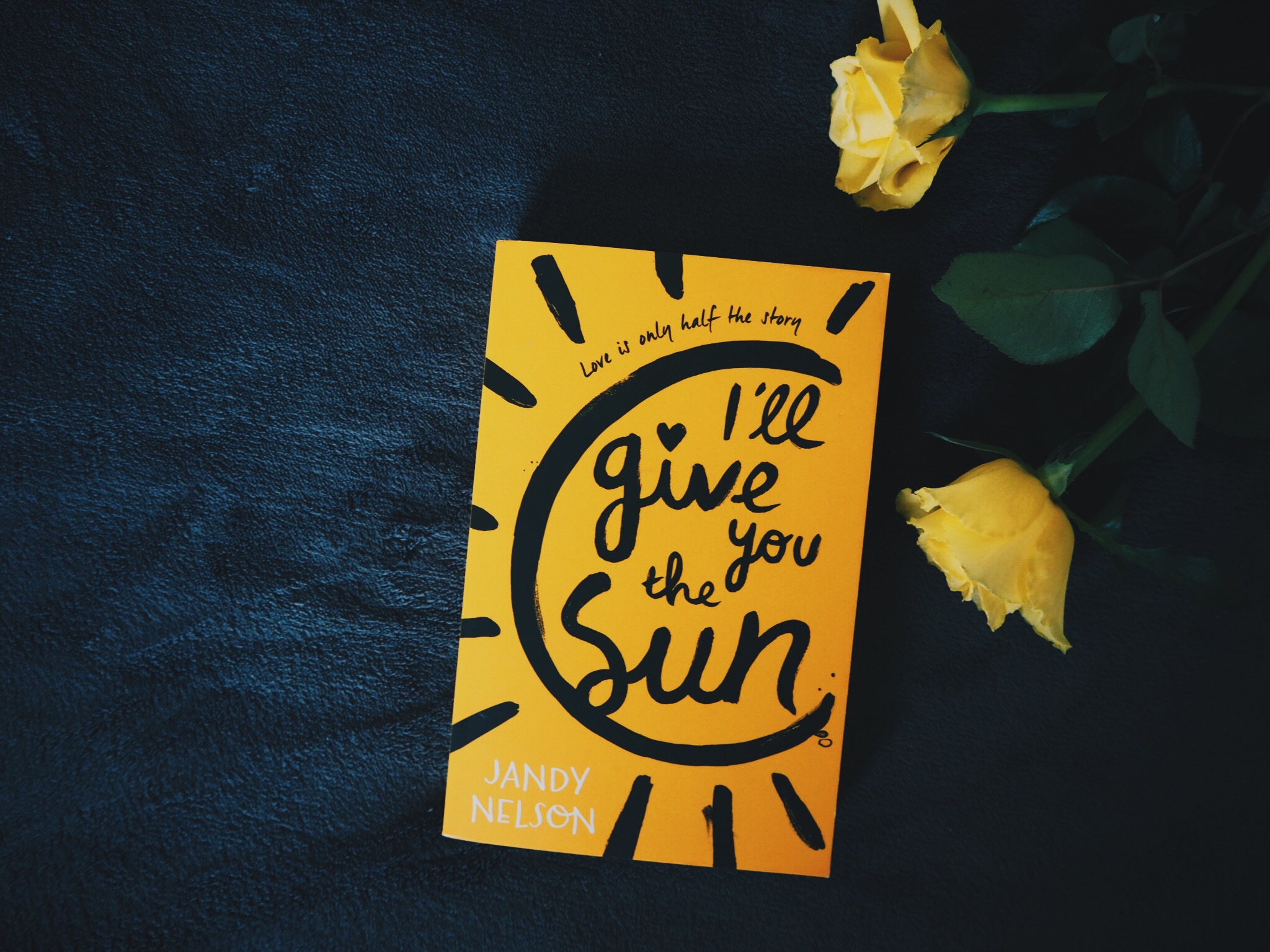 Book Review | I’ll Give You the Sun, by Jandy Nelson – Jo Fisher Writes