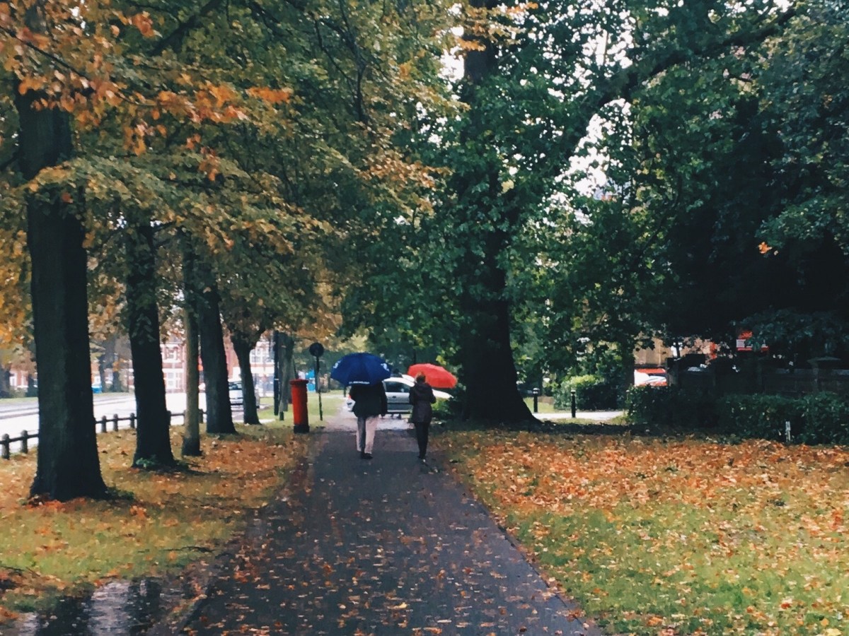 Poem | Low&nbsp;Light