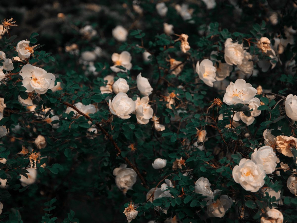 Why I’m Grateful for&nbsp;2019