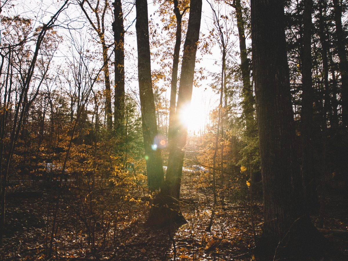 Poem | Leading&nbsp;Lady