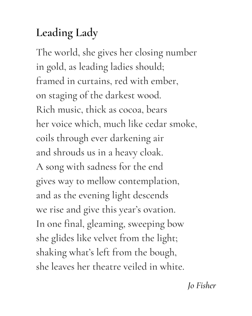 Leading Lady
 
The world, she gives her closing number
in gold, as leading ladies should;
framed in curtains, red with ember,
on staging of the darkest wood.
Rich music, thick as cocoa, bears
her voice which, much like cedar smoke,
coils through ever darkening air
and shrouds us in a woven cloak.
A song with sadness for the end
gives way to mellow contemplation,
and as the evening light descends
we rise and give this year’s ovation.
In one final, gleaming, sweeping bow
she glides like velvet from the light;
shaking what’s left from the bough,
she leaves her theatre veiled in white.
